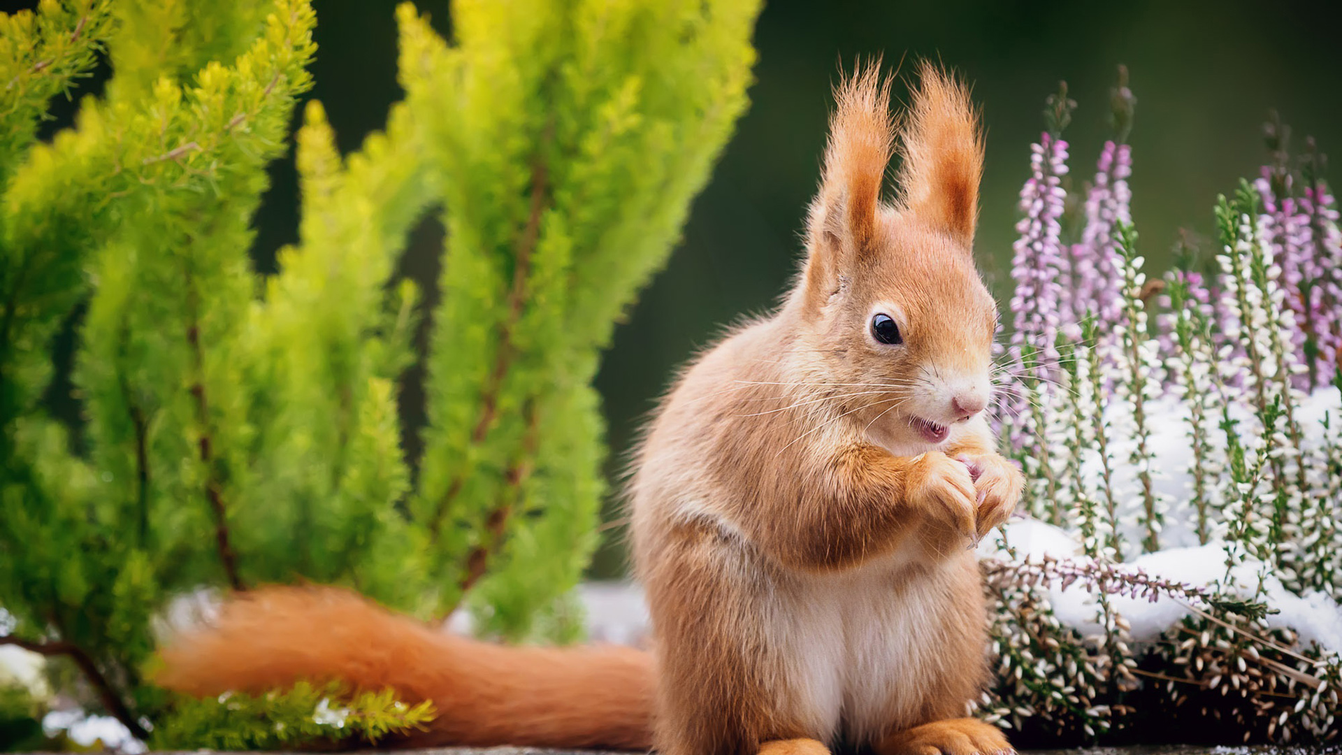 的头像-百云游资源网