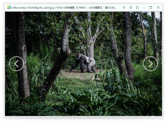 2345看图王v10.0.0.8852精简版插图2 2345看图王v10.0.0.8852精简版插图2