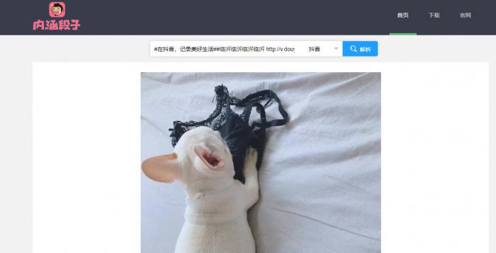 短视频无水印解析源码半开源分享-百云游资源网