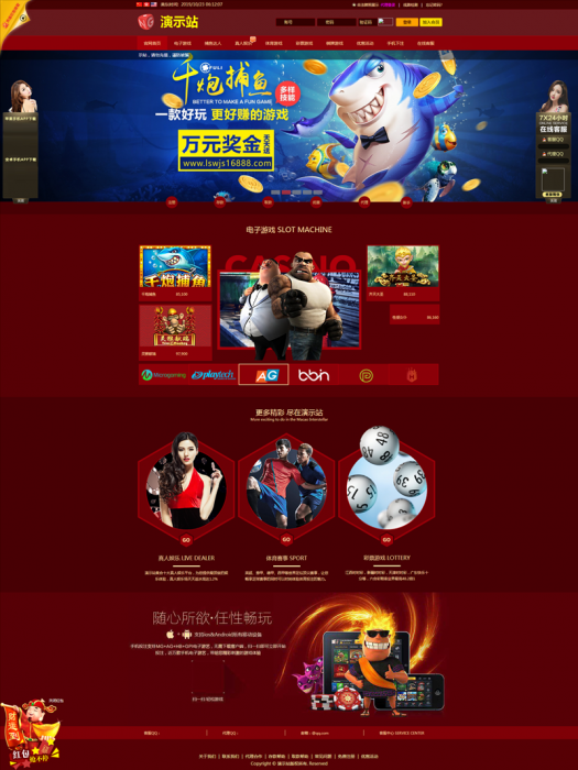 NG网站PHP程序+所有版本更新包+视频搭建教程-百云游资源网