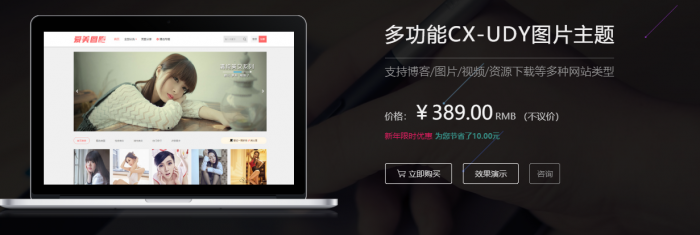 价值389的WordPress多功能图片主题CX-UDY下载 +会员系统，支持博客/图片/视频/资源下载等多种网站类型插图