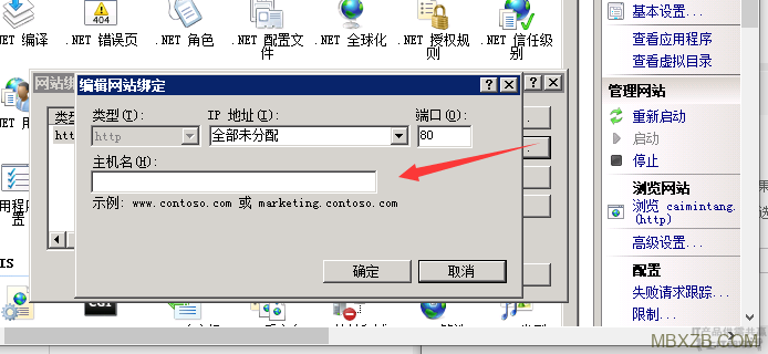 最新小旋风蜘蛛池X6.21（原小霸王蜘蛛池）解密版+绕过授权带教程插图2