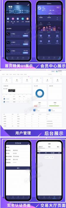 全新UI疯狂蚂蚁区块链矿池重置版网站源码 全开源可二开-百云游资源网