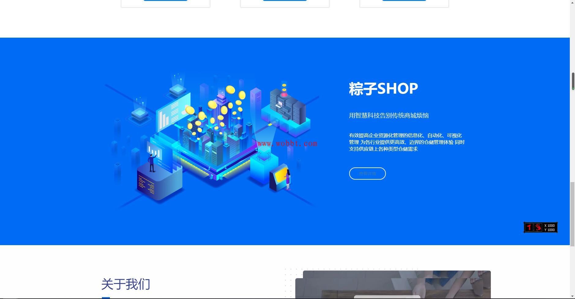 最新粽子实物商城纯净官网展示源码 无后台-百云游资源网