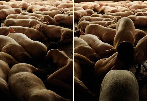 微信牛牛 性生活前，一定要做好这些准备-百云游资源网