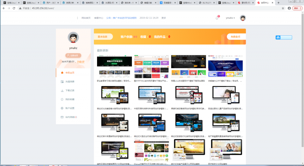 素材网源码资源下载站源码，带用户中心和VIP充值系统，后台管理+素材下载+积分金币下载【站长亲测】插图7