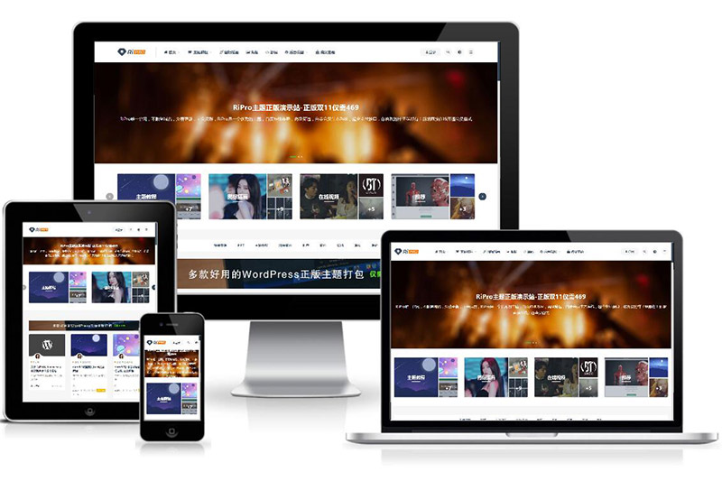 WordPress付费资源下载主题:ripro8.7最新破解版-百云游资源网