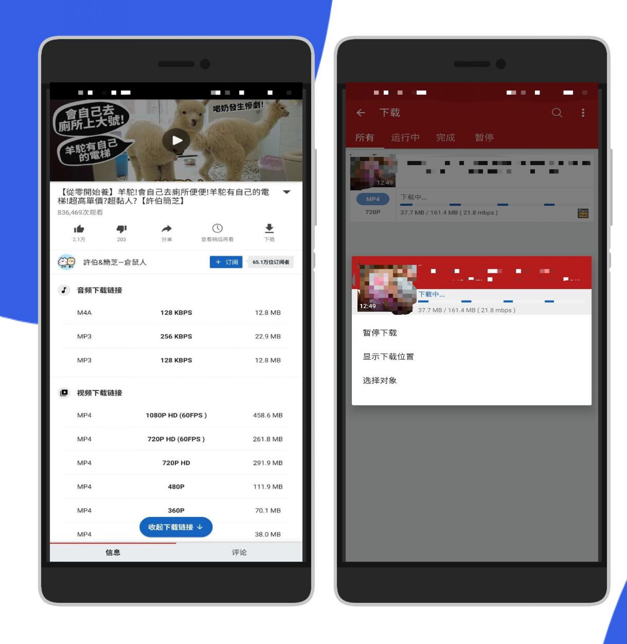 安卓–油管/P站视频下载器–支持付费下载-百云游资源网
