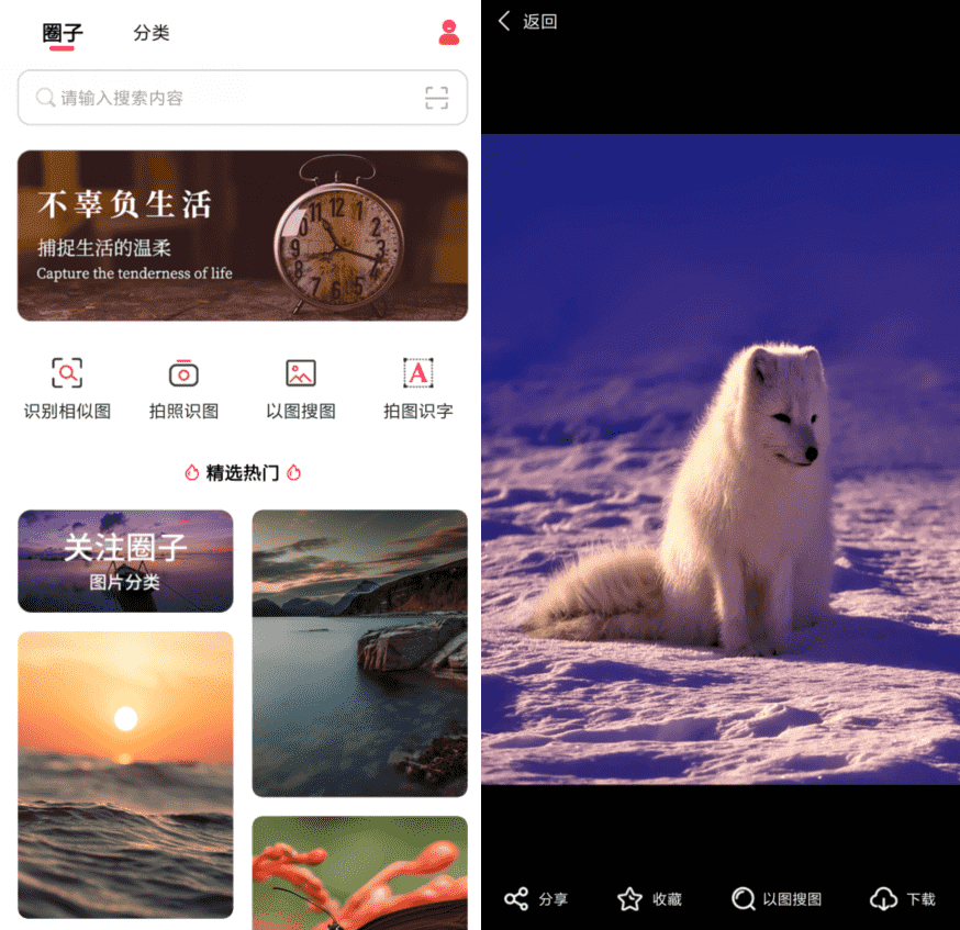 以图搜图v1.0.0纯净版-百云游资源网