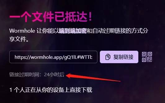 虫洞支持10GB以内的文件上传，吊打奶牛快传！插图5