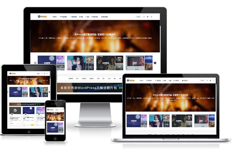 WordPress付费资源下载主题：ripro8.7最新破解版-百云游资源网