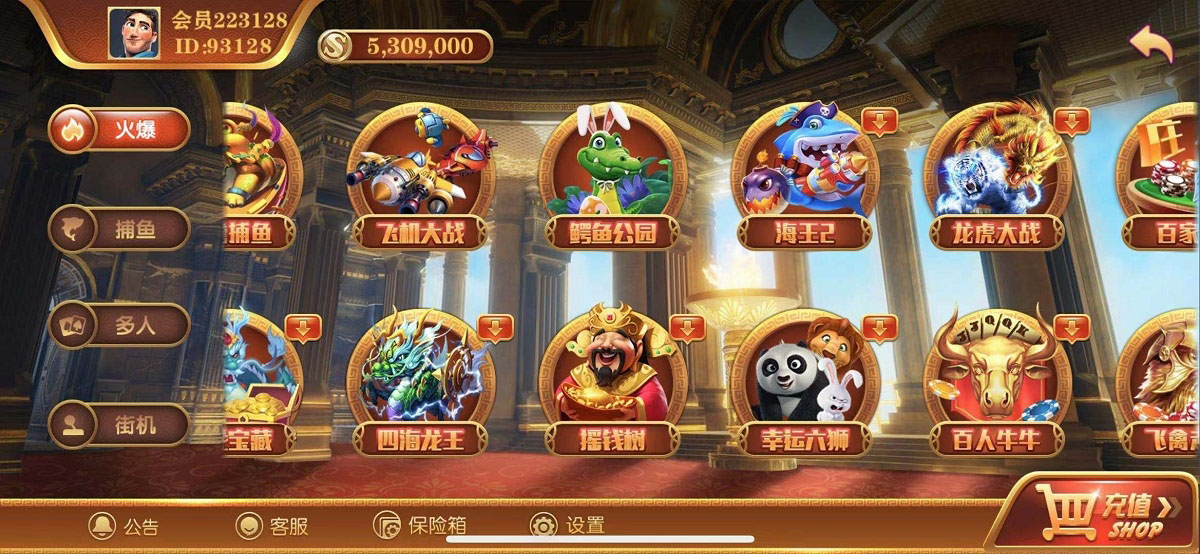 无错运营级别逍遥娱乐,2021最新大富豪,二开增加多款子游戏,双端完整组件-百云游资源网