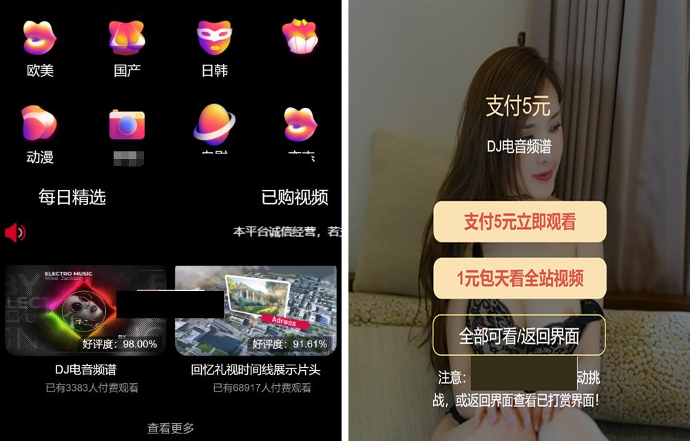 最新版付费视频打赏程序源码 多模板+全新UI 带包天+可扣量+代理 非云赏V系列-百云游资源网