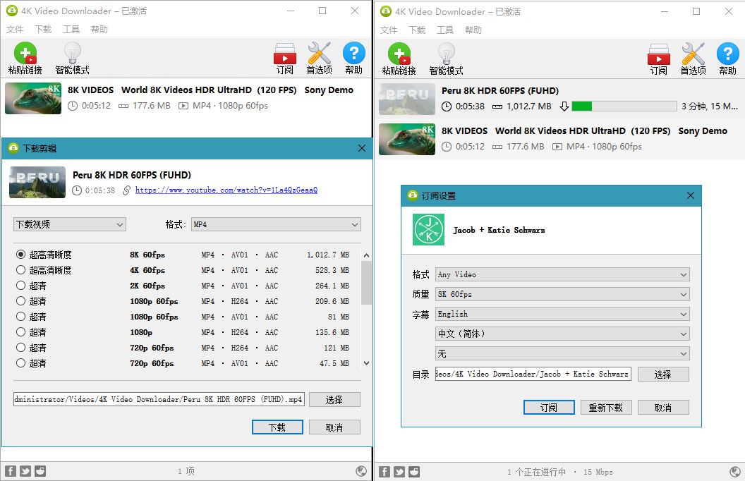 4K Video Downloader v4.20.1 4K视频下载器-百云游资源网