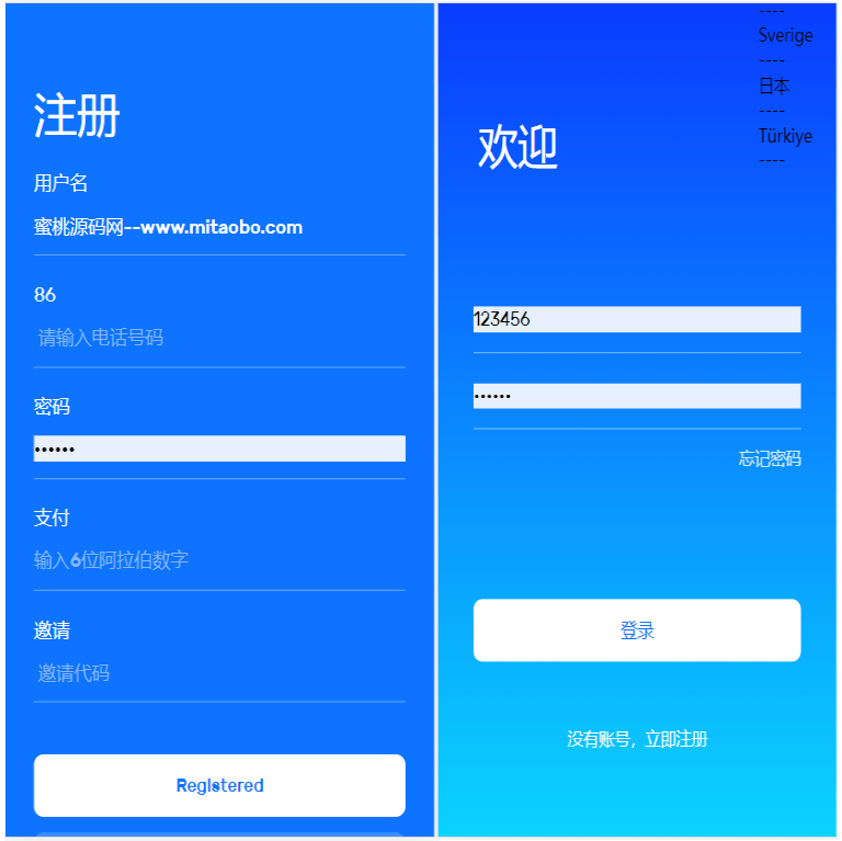 亚马逊抢单源码自动抓取订单任务邀请英文,西班牙语可自动切换语言插图4 亚马逊抢单源码自动抓取订单任务邀请英文,西班牙语可自动切换语言插图4