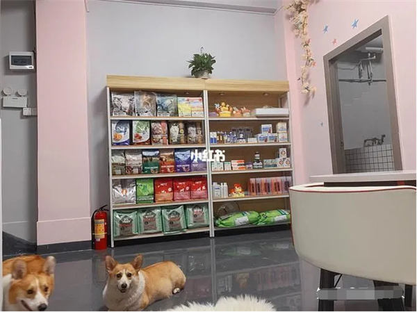 2023年将会有那些风口?插图5 2023年将会有那些风口?插图5