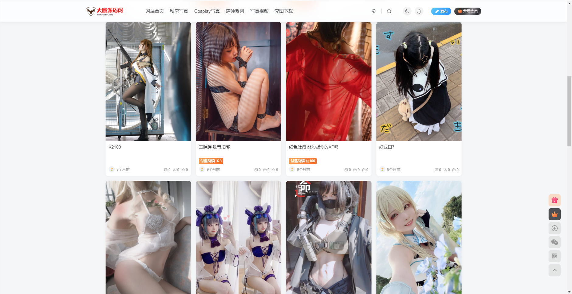 【大鹏独家】整站WordPress子比自适应美女写真网站美图整站带数据源码大鹏亲测插图1