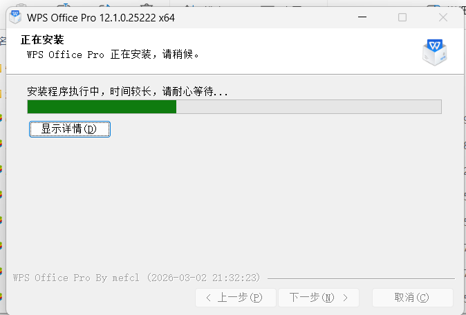 WPS Office 2023 专业增强版：深度精简与功能解锁体验-百云游资源网