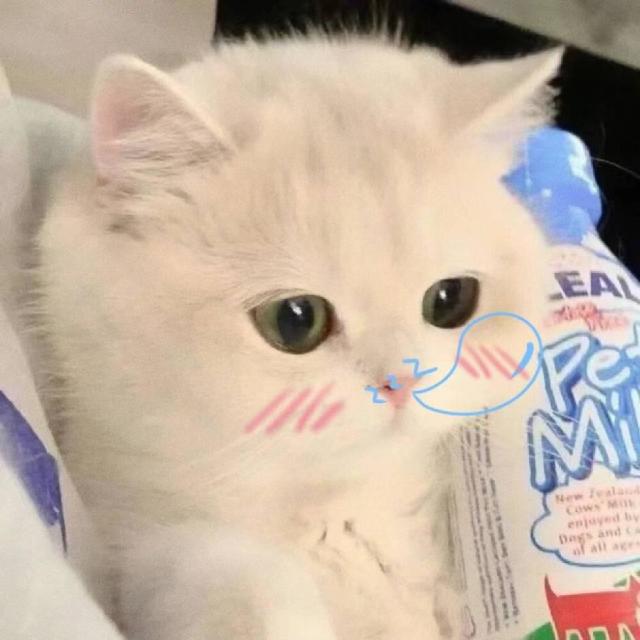 Python 实战教程：利用摄像头实现物品识别-百云游资源网