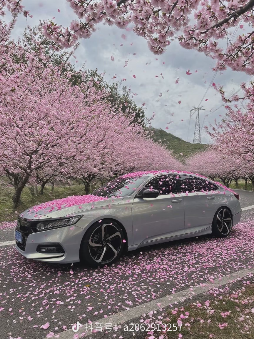 用豆包+Gemini从零做网站｜一晃几年，这里还有老伙计在吗？-百云游资源网