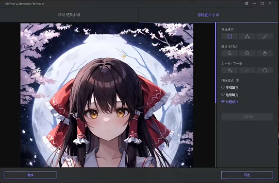 🔥支持b站去水印🔥去水印神器🔥超级AI一键去水印插图2