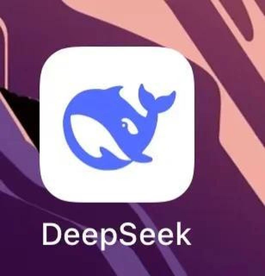 DeepSeek AI 助手 Android 版体验：高效交互与专家模式解析-百云游资源网