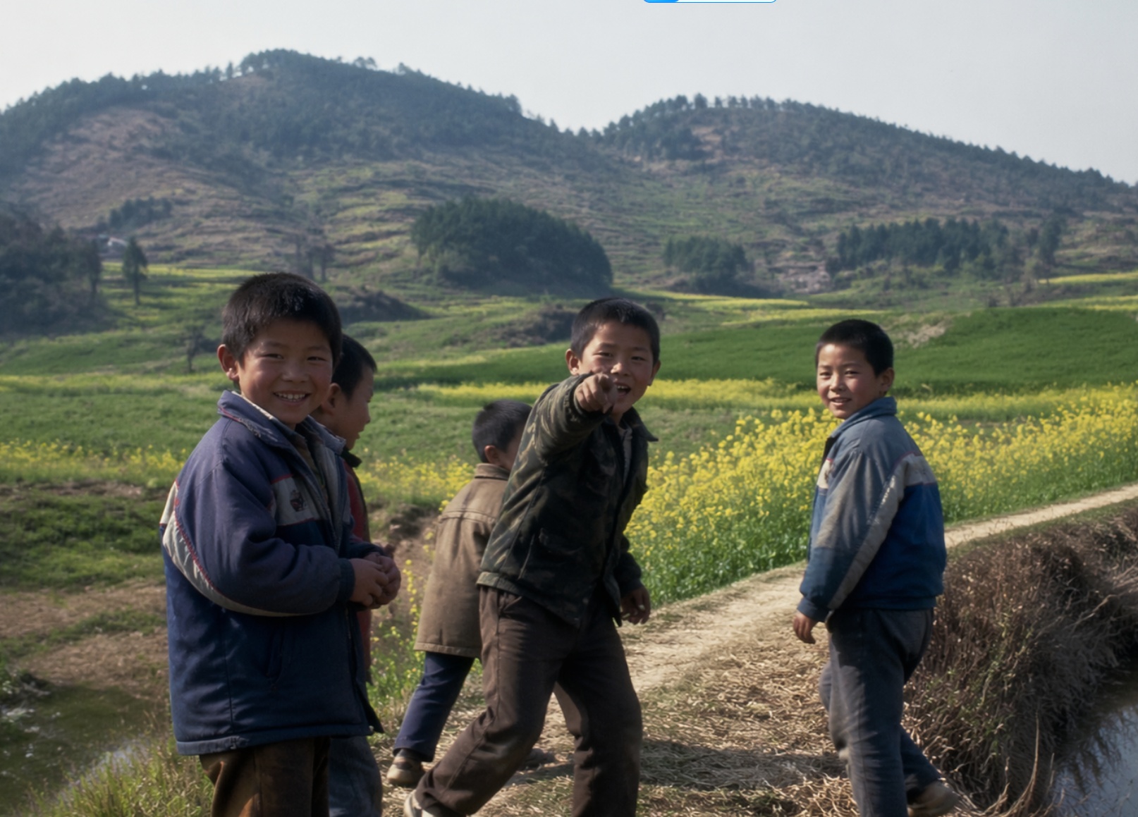 ChatGPT Image 2.0 本地部署教程：无需网络代理即可生成图像插图4