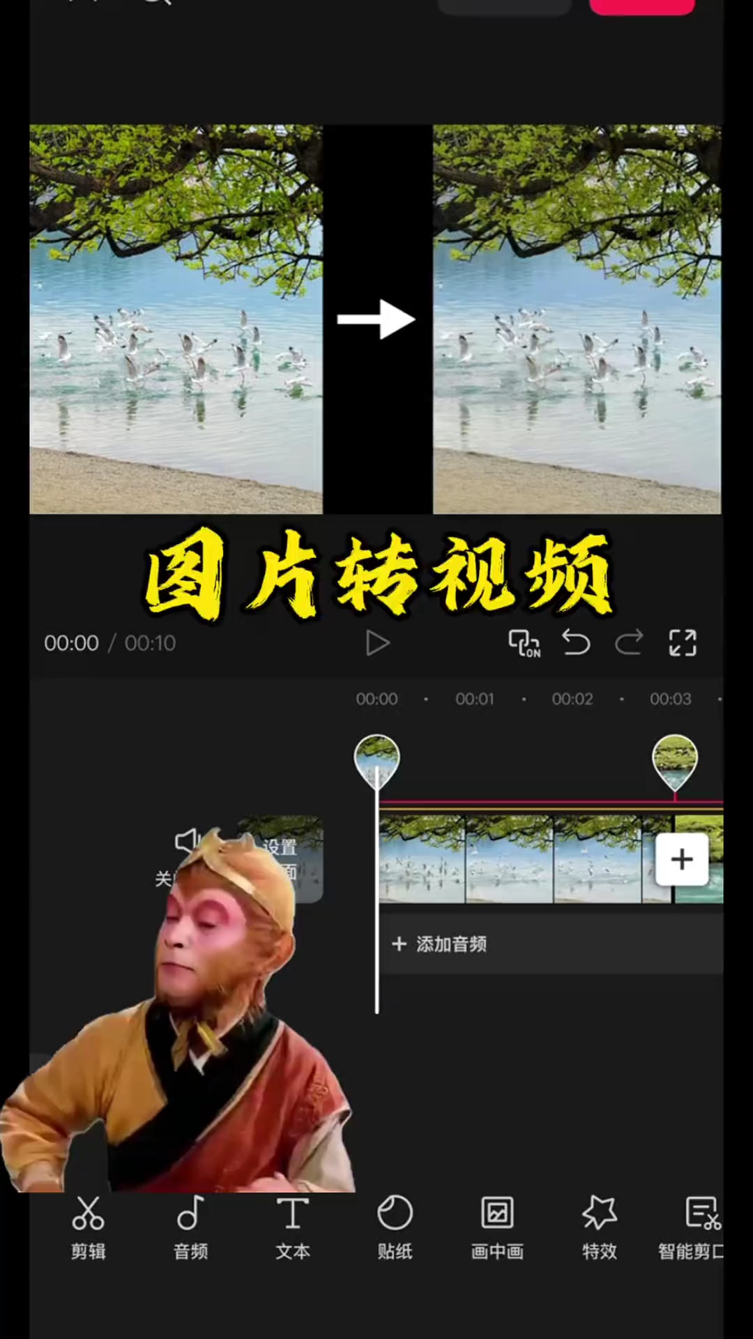 【玩机教程】图片转视频 图片转视频教程来了，你学会了吗？-百云游资源网