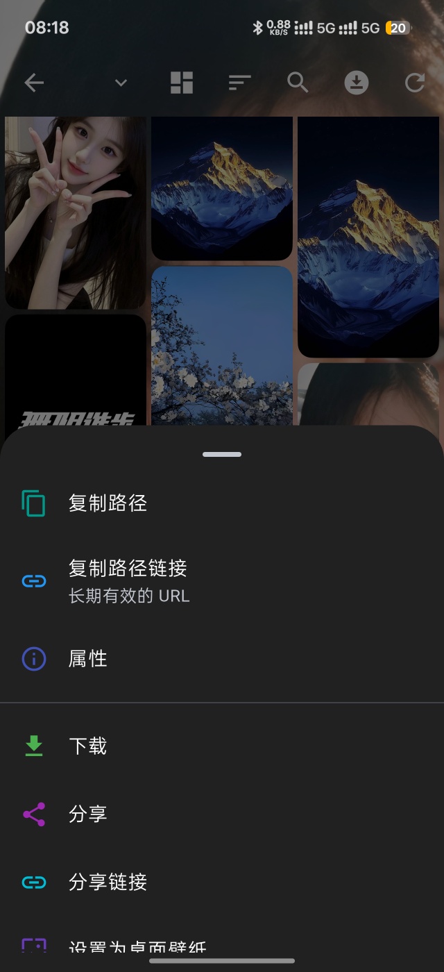 网盘开发交流插图5