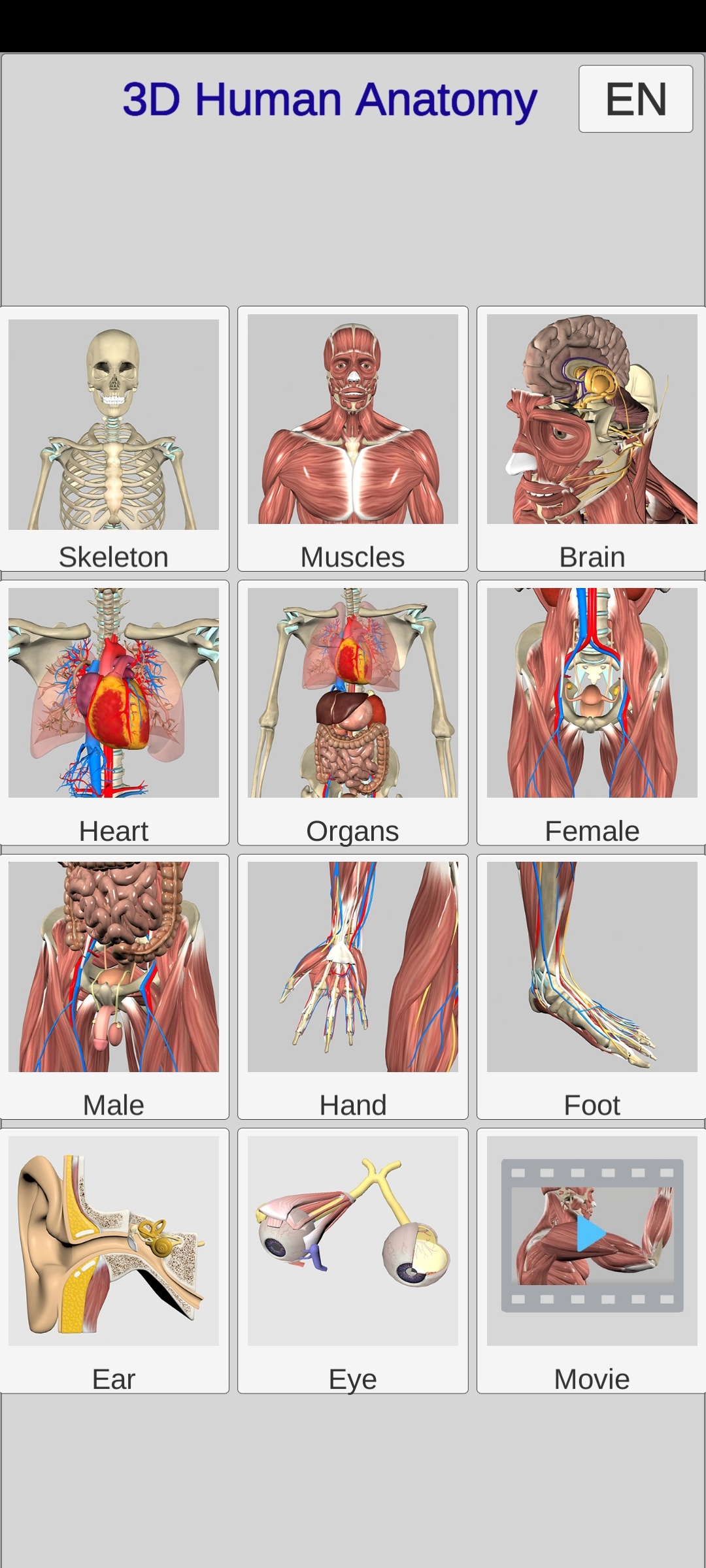 【分享】3D Anatomy🔥3D人体解剖学习🔥解锁高级版插图