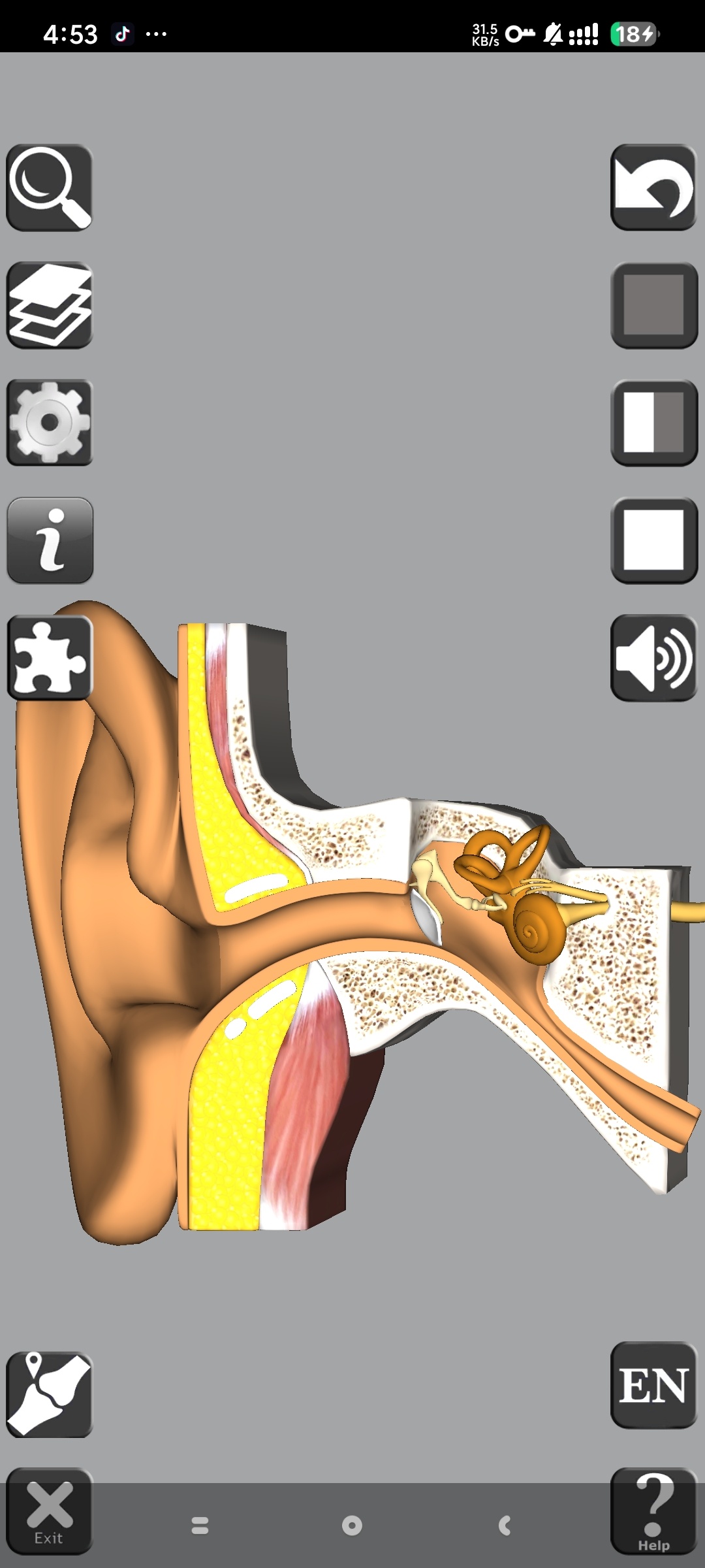 【分享】3D Anatomy🔥3D人体解剖学习🔥解锁高级版插图1