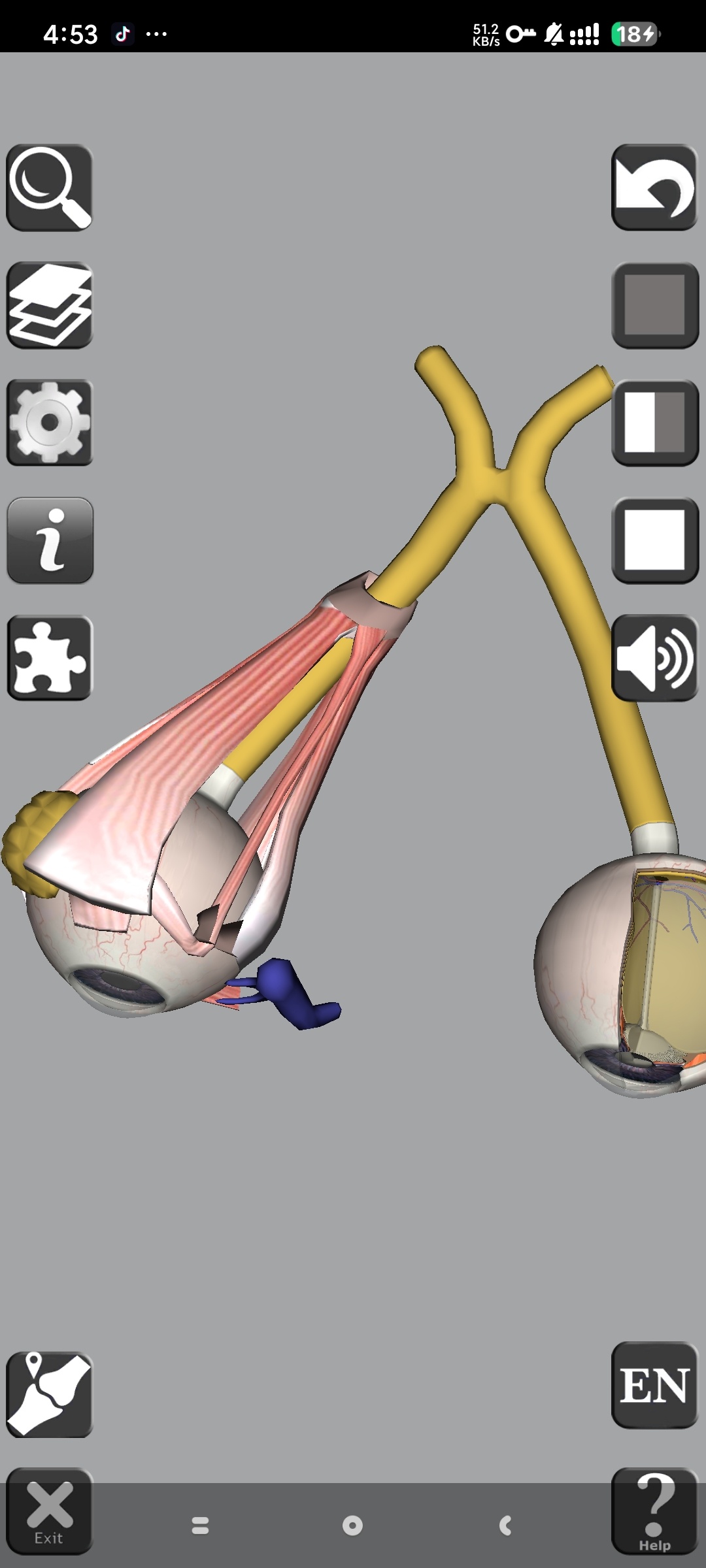 【分享】3D Anatomy🔥3D人体解剖学习🔥解锁高级版插图2