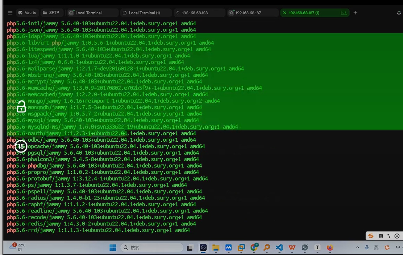 【玩机教程】从 assert 动态调用报错到临时文件链路：P插图8